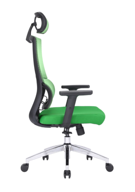 ergoal chair