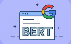 PPC Affects After BERT Update