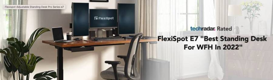 FlexiSpot E7
