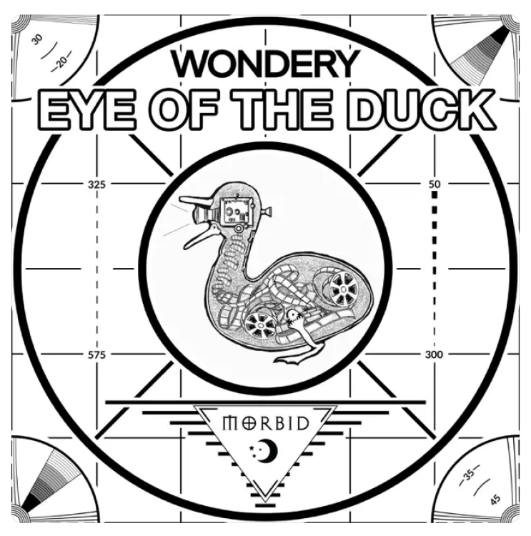 Eye of the Duck podcast logo