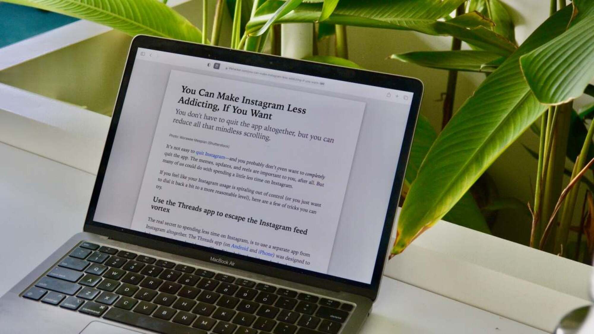 A MacBook on a desk surrounded by potted plants. The screen of the MacBook shows Reader mode open in Safari, on an article titled "How to make Instagram less addicting"