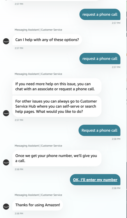 Screenshot of chatting with Amazon chat box.